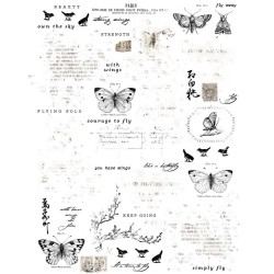 Rub-on - 6 x 8 - Essentiel Butterflies 01 - 49 and Market 